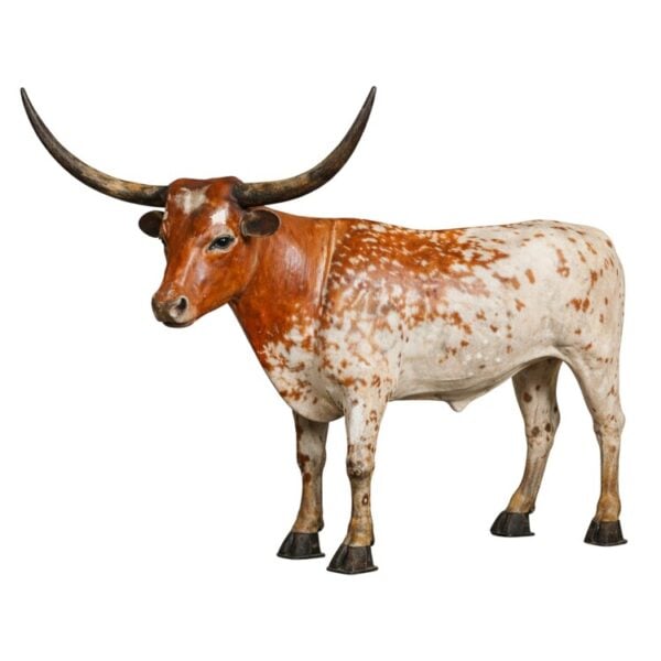 Octavian_longhorn