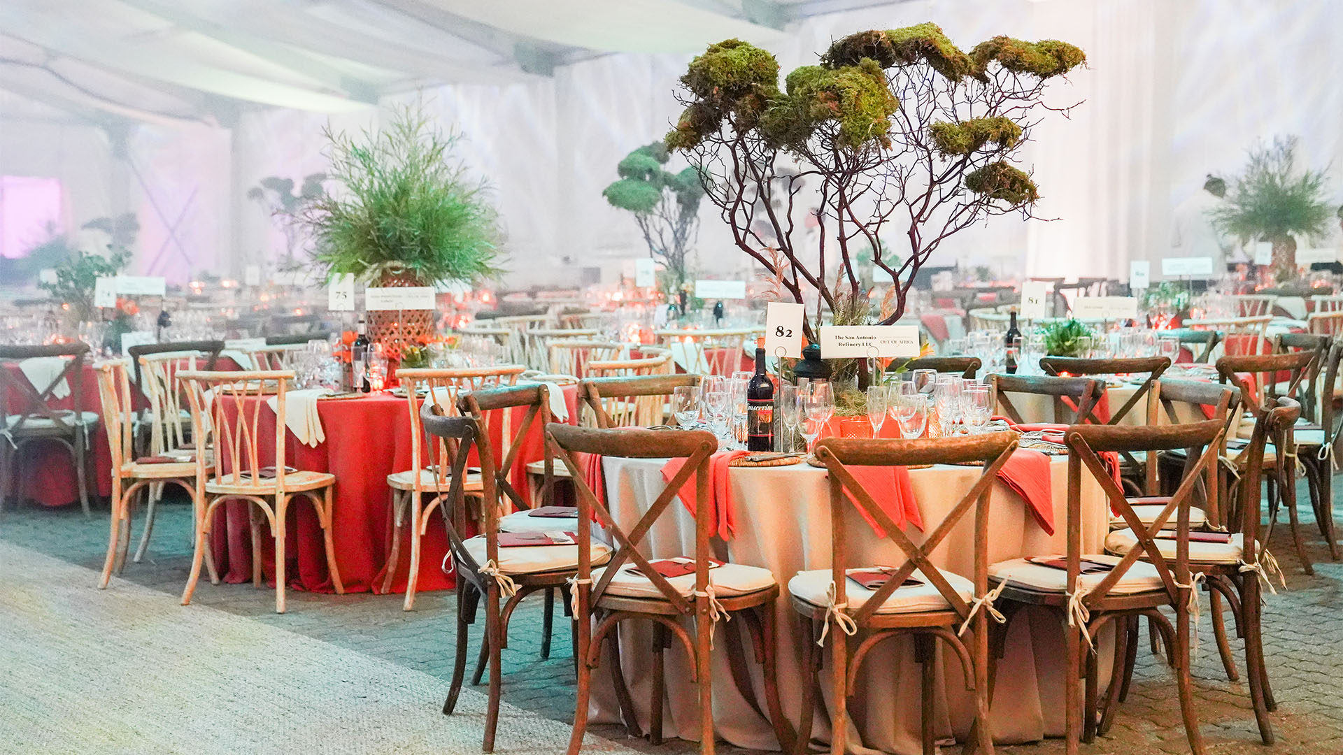 Tables set for large event, bonsai tree centerpieces on each table