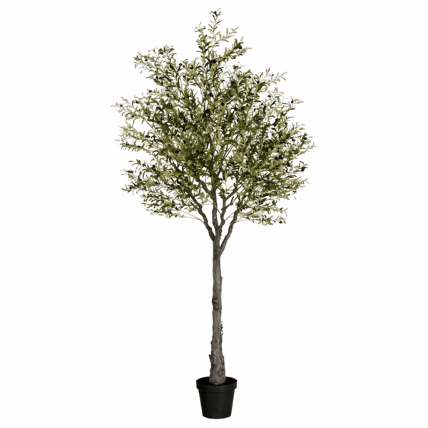 10′ Faux Olive Tree (1)