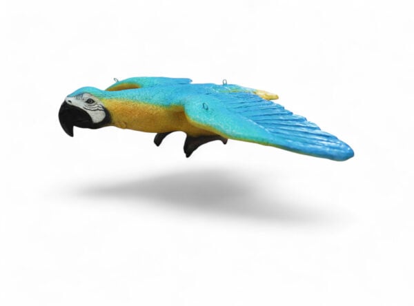Blue Macaw Flying