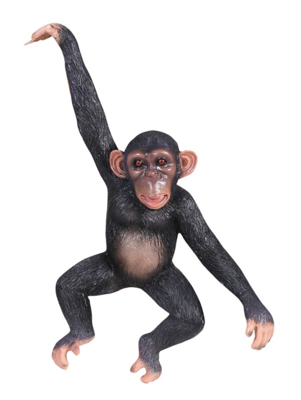 Monkey Hanging