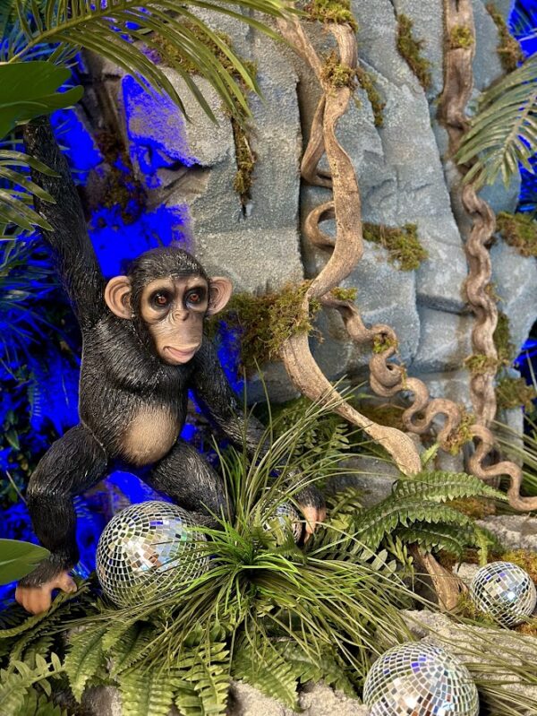 Monkey Hanging